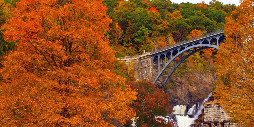 Dental Power of the Hudson Valley Dental Power